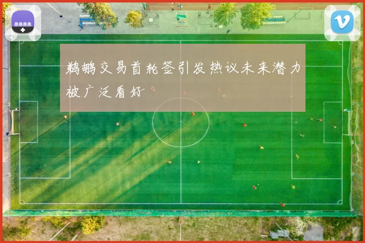 鹈鹕交易首轮签引发热议未来潜力被广泛看好