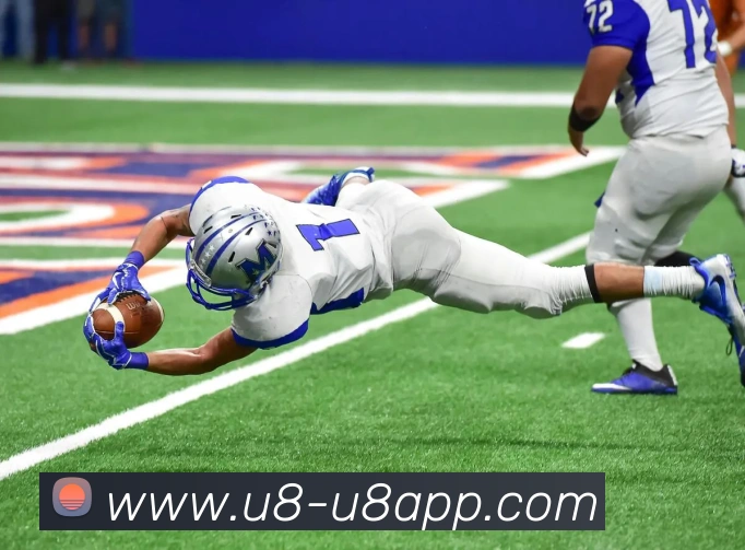 u8国际平台生态图